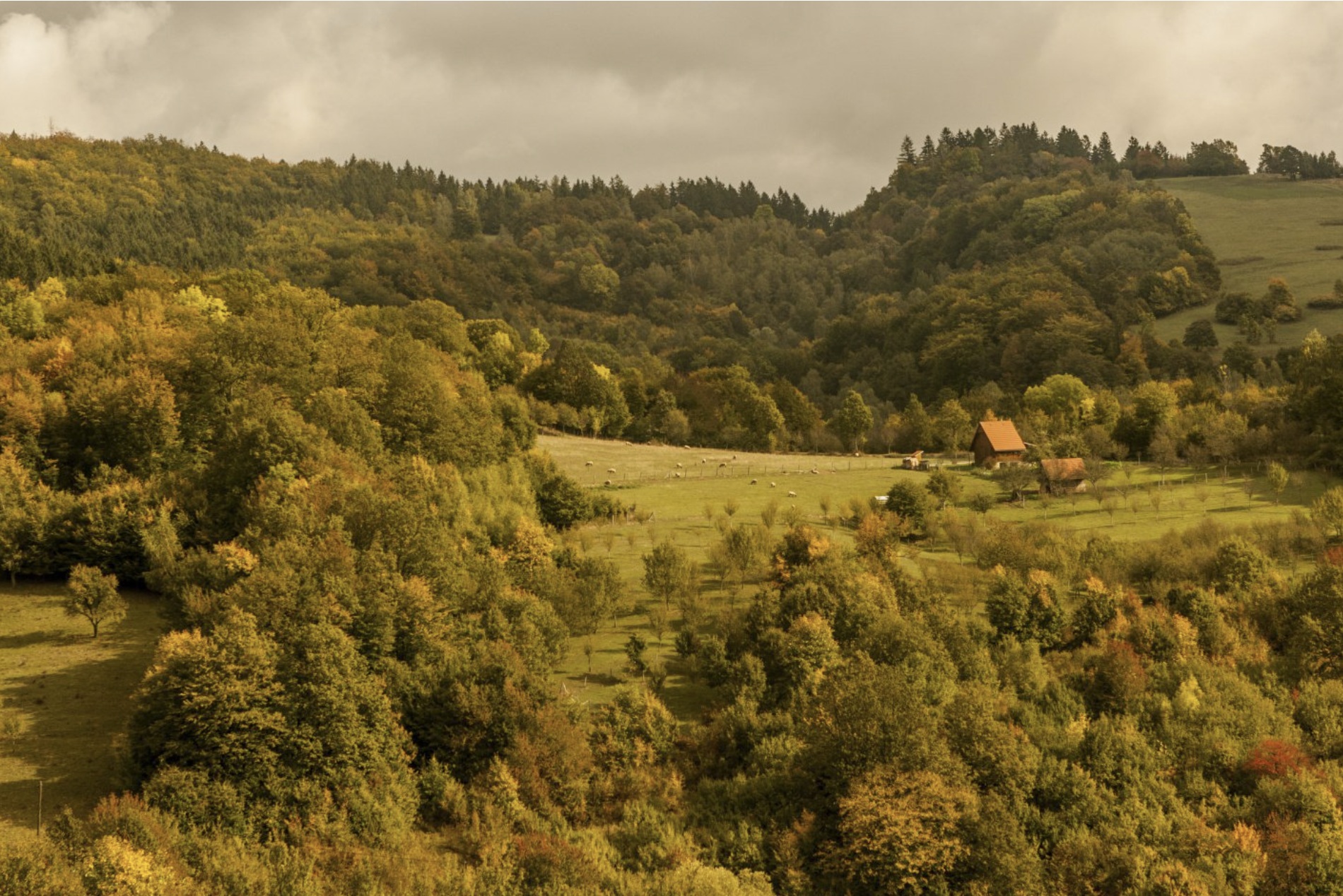 Zlínsko a Luhačovicko
